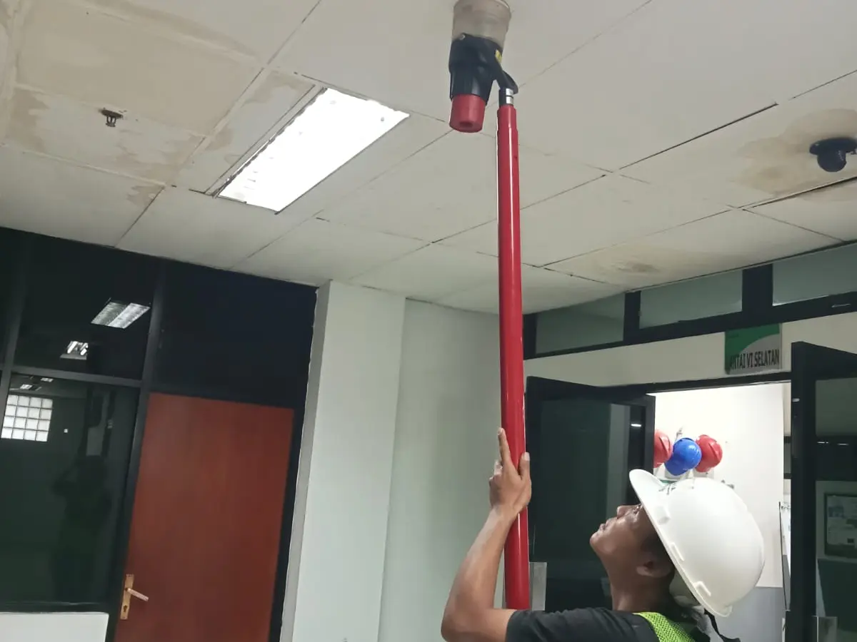 Testing Detector